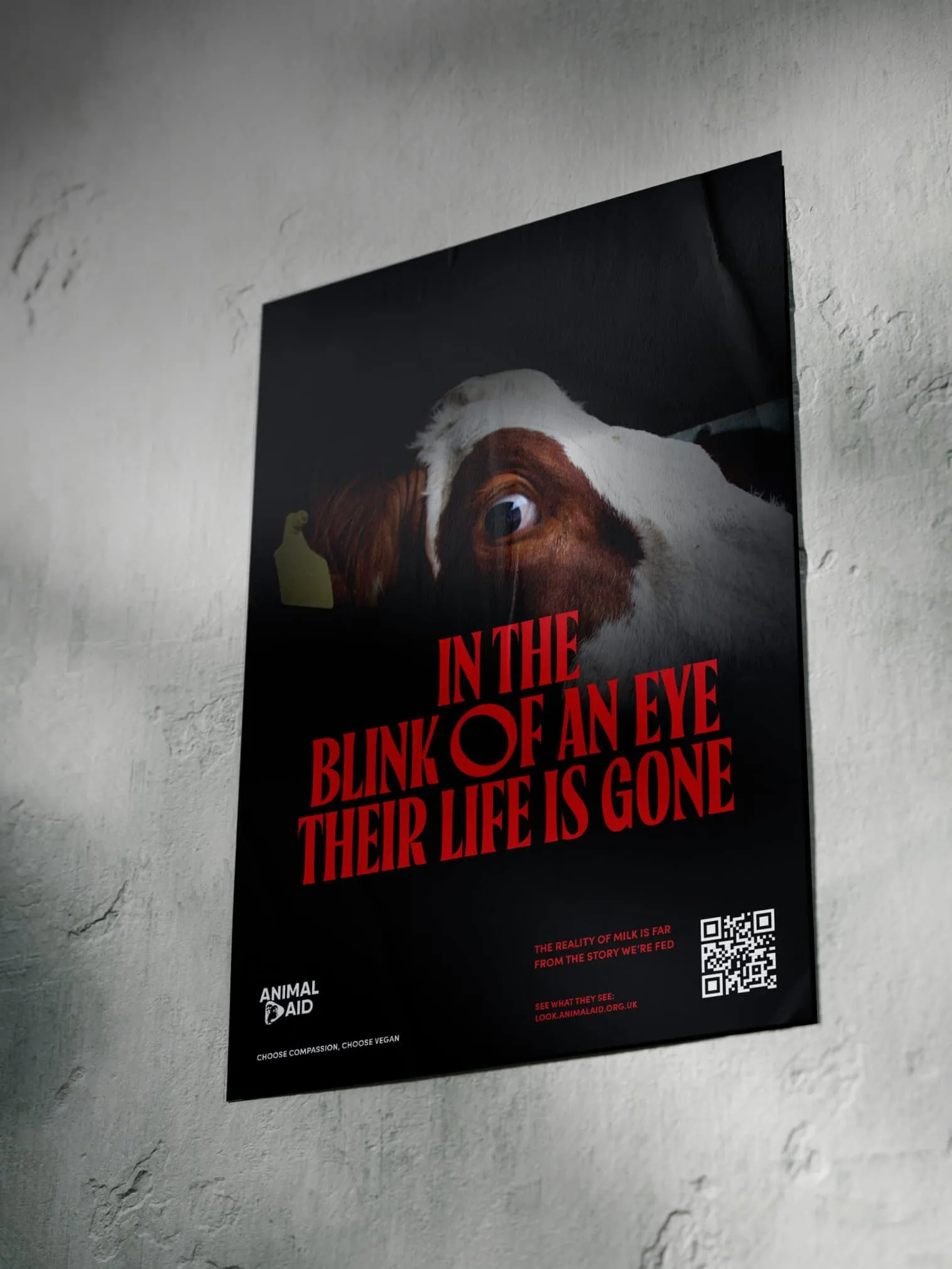 Animal Aid campaign print and outdoor advertising